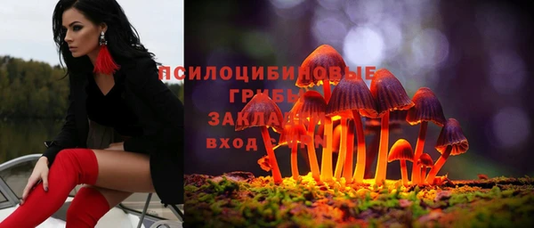 сатива Бронницы