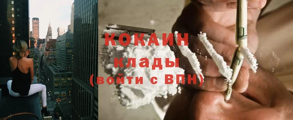 сатива Бронницы