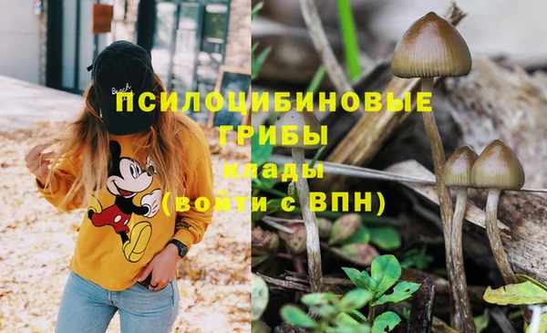 МДМА Бугульма