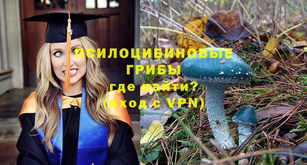 метадон Бородино