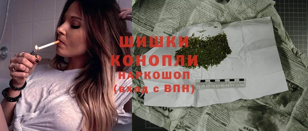 сатива Бронницы