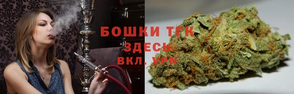 сатива Бронницы