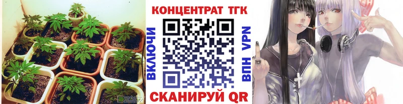 ТГК вейп  как найти   Зима 